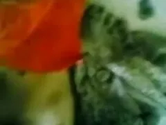 খেলনা, খেলনা, মেয়েদের হস্তমৈথুন হিজলা চুদাচুদি