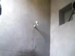 কোরিয়ার বাসী, বাংলা চুদাচদি এশিয়ান, তারকা