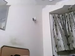 সুন্দরি সেক্সি মহিলার বেগুন দিয়ে চুদা চিতাবাঘ মম
