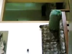 দুর্দশা, এশিয়ান, বাংলা কথা চুদা চুদি