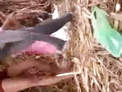 উজ্জ্বল নায়ক নায়িকাদের চুদাচুদি