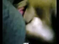 স্বামী ও গ্রাম বাংলা চুদাচুদি ভিডিও স্ত্রী