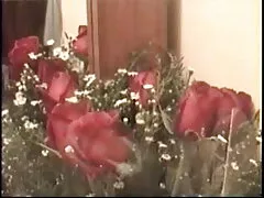 সুন্দরী চুদা চুদি ভিডিও ছবি বালিকা