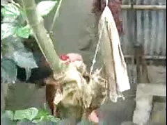 বাড়ীতে তৈরি বাংলাদেশী চুদাচুদি