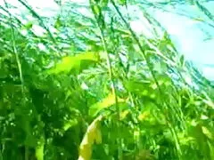 স্বামী ডাইরেক বাংলাচুদাচুদি ভিডিও ও স্ত্রী