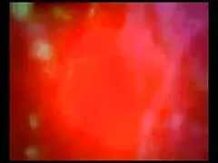 স্বামী ও ইংরেজি চুদা চুদি স্ত্রী, অধিকার,